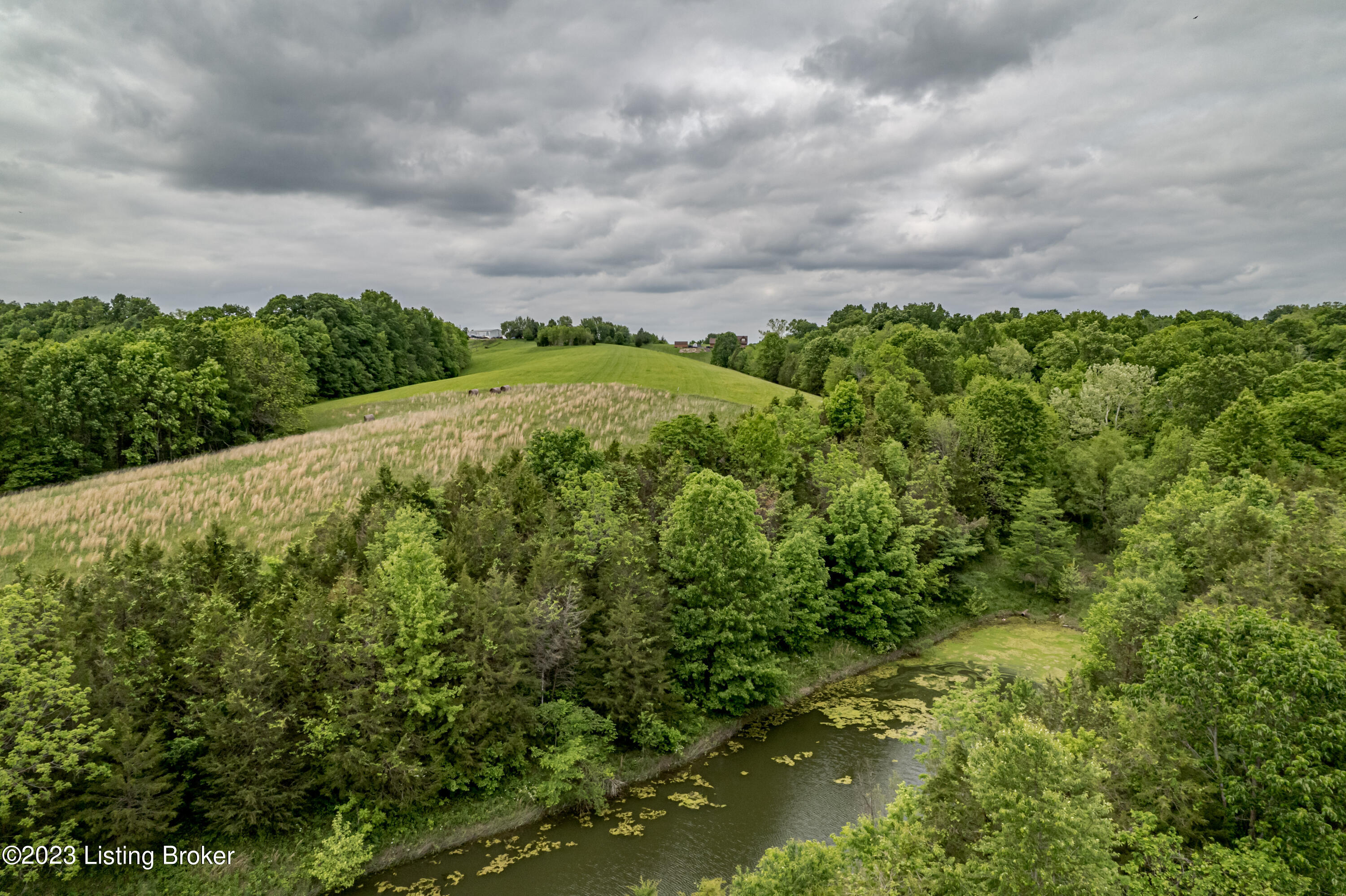 9077 Mt Eden Road Waddy, KY 40076 - Photo 12 of 67 DJI_0687