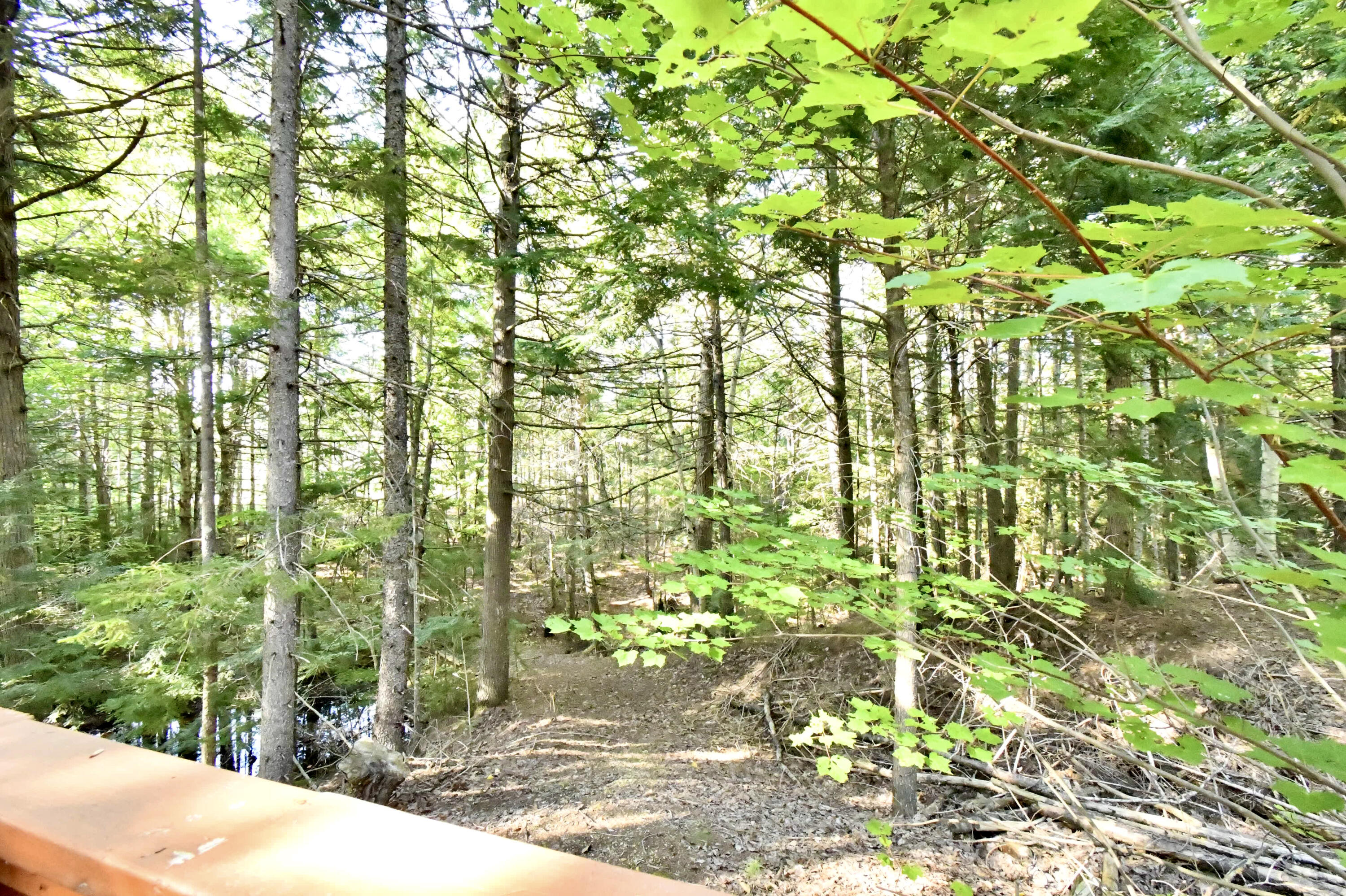 1145 Otis Road Ellsworth, ME 04605 - Photo 56 of 101 083B4AA4-237F-4509-B2F8-C38368EFBE24_1_2
