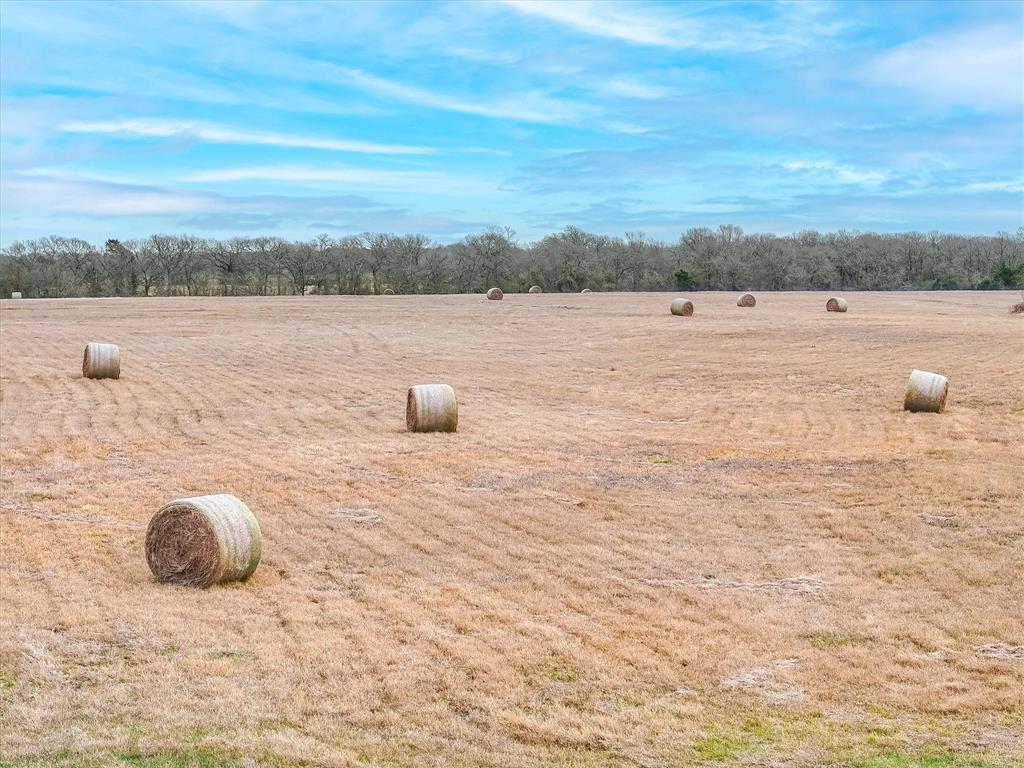 1 Fm Road Mabank, TX 75147 - Photo 11 of 11