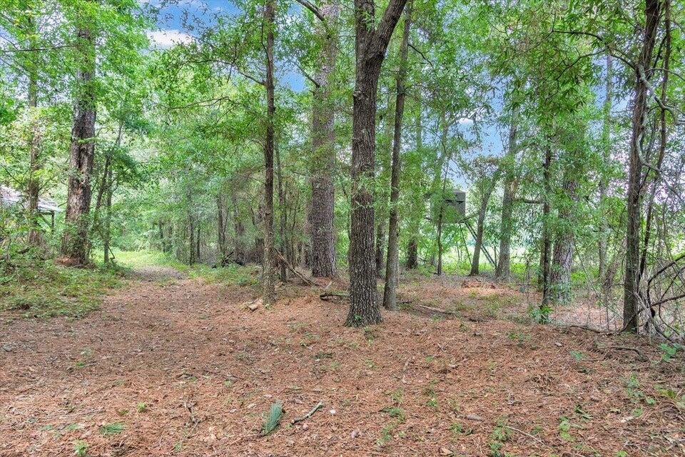 356 Massey-Doss Road Keysville, GA 30816 - Photo 15 of 73 20240904212121612826000000-o