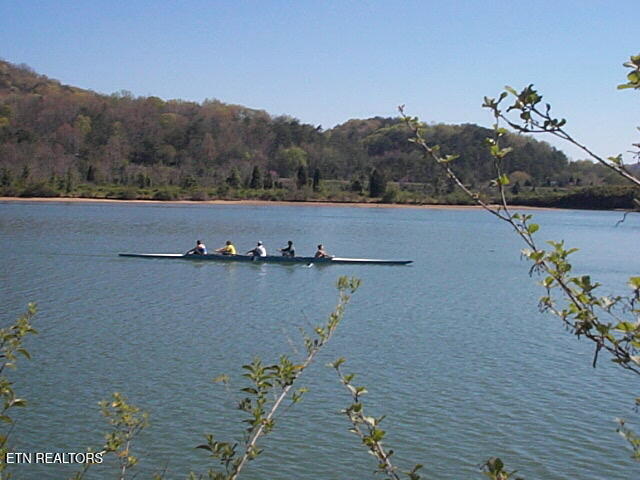 85 Royal Troon Circle Oak Ridge, TN 37830 - Photo 47 of 54 Rowers on course