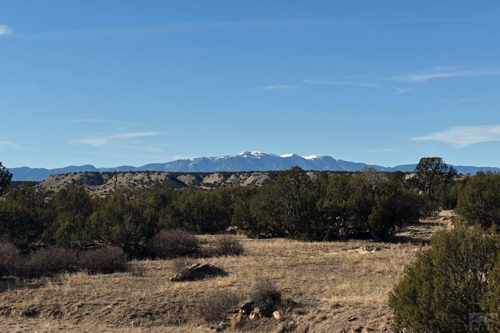 Lot 100 Narrow Gauge Way Rye, CO 81069 - Photo 22 of 42 Gallery Image 22