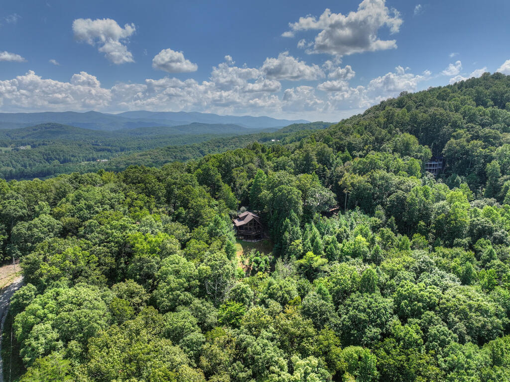 8 North Face Drive Blue Ridge, GA 30513 - Photo 6 of 67 Gallery Image 6