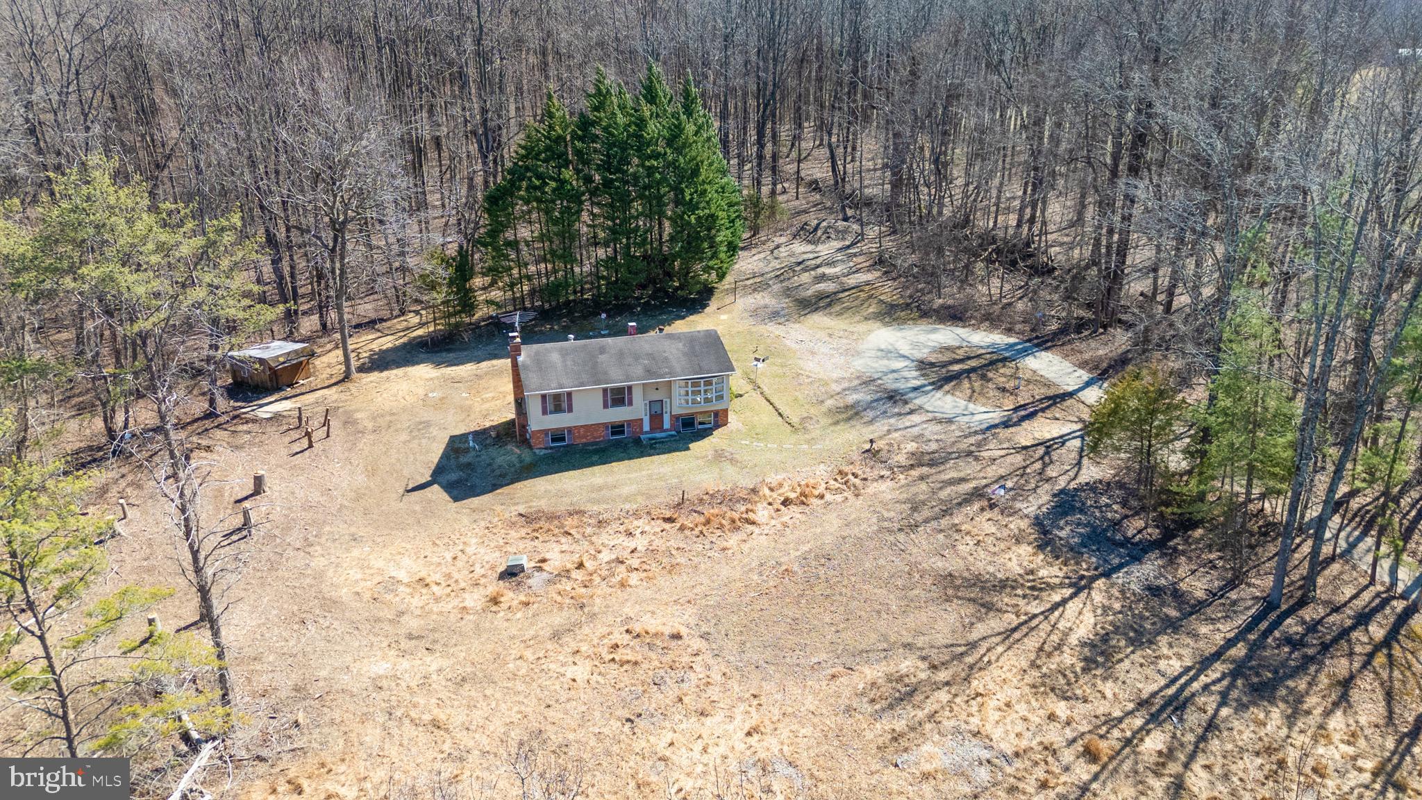 3603 Muddy Creek Road Edgewater, MD 21037 - Photo 1 of 20 a view of a yard with large trees