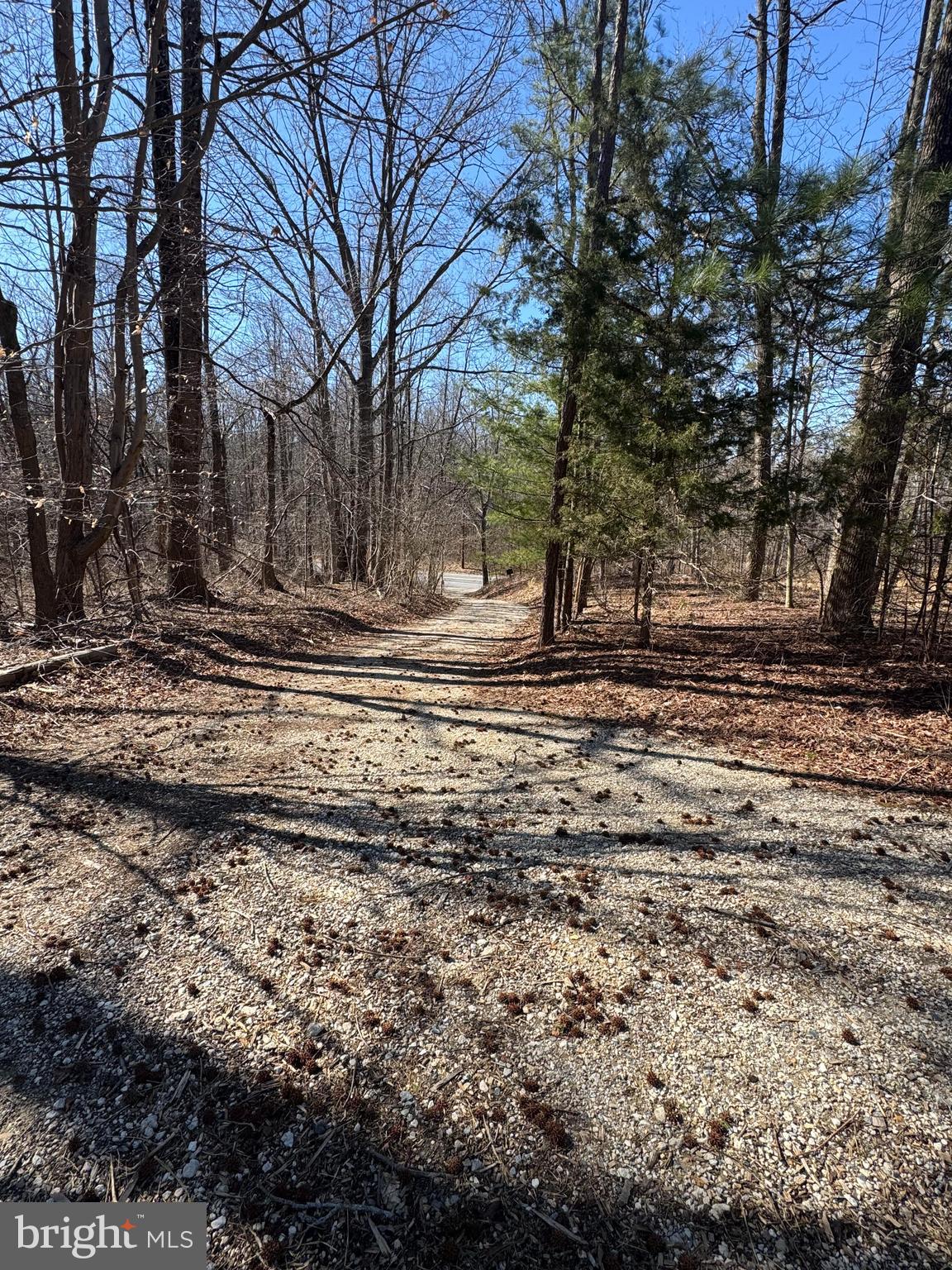 3603 Muddy Creek Road Edgewater, MD 21037 - Photo 14 of 20 a view of a yard with a house