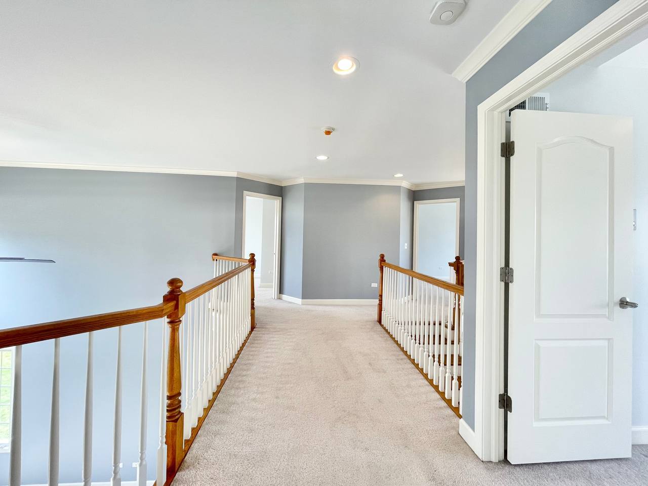 4324 Champion Road Naperville, IL 60564 - Photo 24 of 47