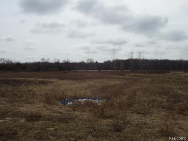 6855 Big Hand Road St. Clair, MI 48079 - Photo 9 of 9 yard