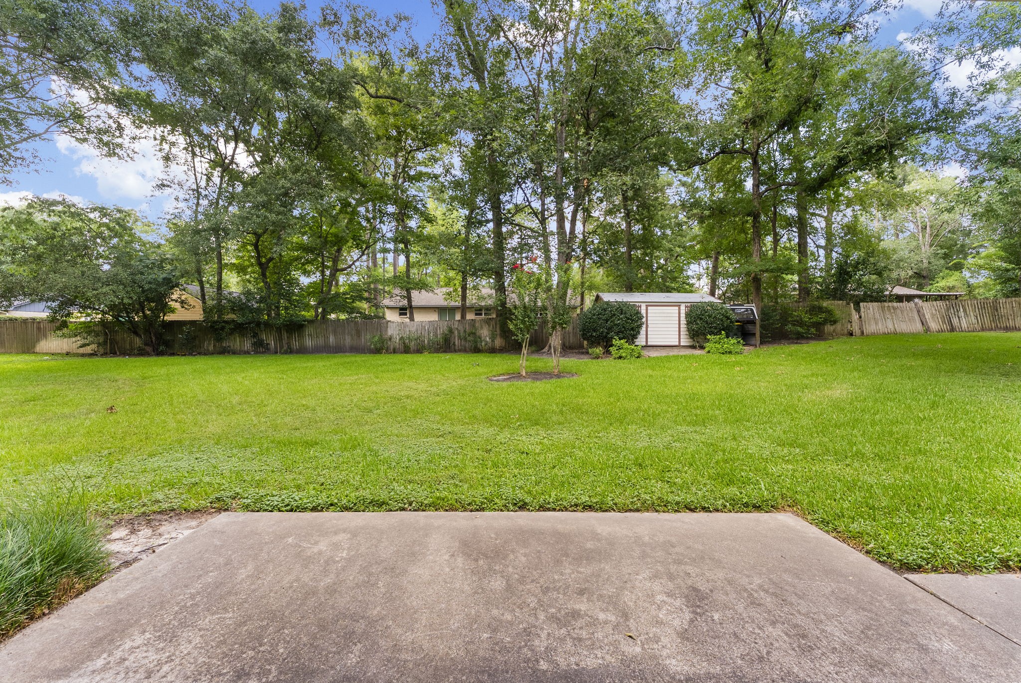 202 Sunset Boulevard Conroe, TX 77303 - Photo 43 of 50 A spacious backyard with lush green grass, surrounded by tall trees for privacy. Features a concrete patio area and a small shed, ideal for storage or gardening tools.