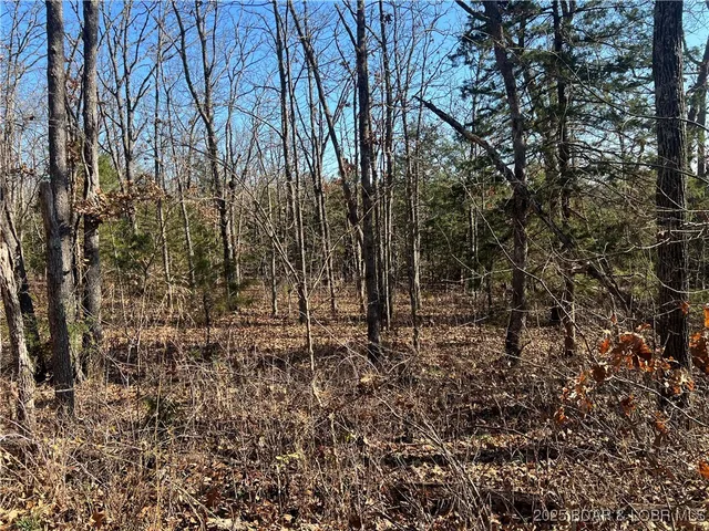 $99,500 | Lavender Road, Barnett, MO 65011