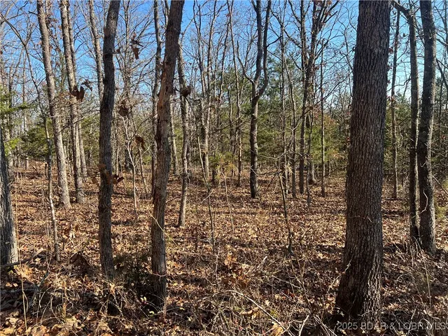 $99,500 | Lavender Road, Barnett, MO 65011