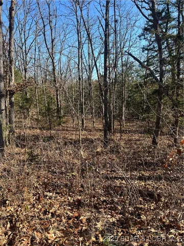 $99,500 | Lavender Road, Barnett, MO 65011