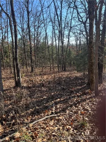 $99,500 | Lavender Road, Barnett, MO 65011