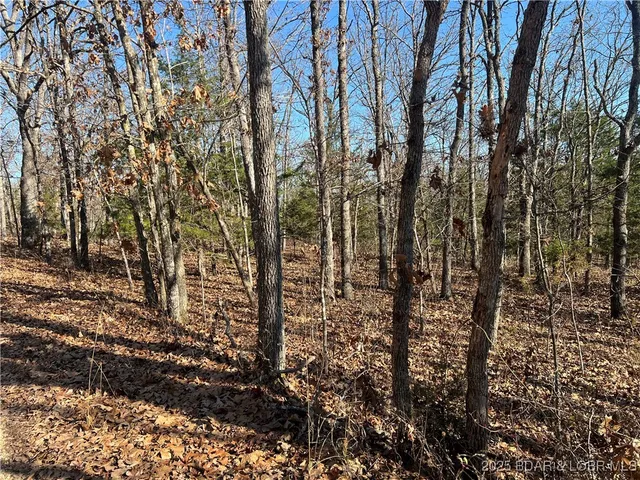 $99,500 | Lavender Road, Barnett, MO 65011