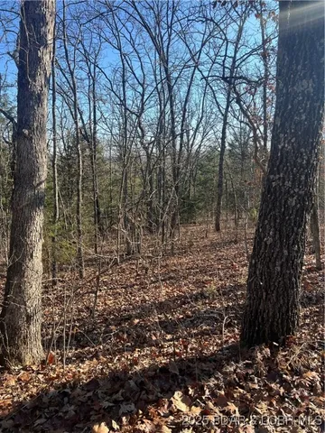 $99,500 | Lavender Road, Barnett, MO 65011