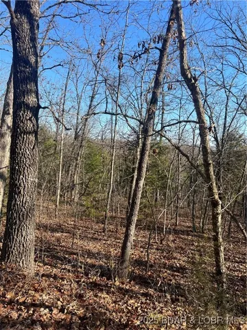 $99,500 | Lavender Road, Barnett, MO 65011