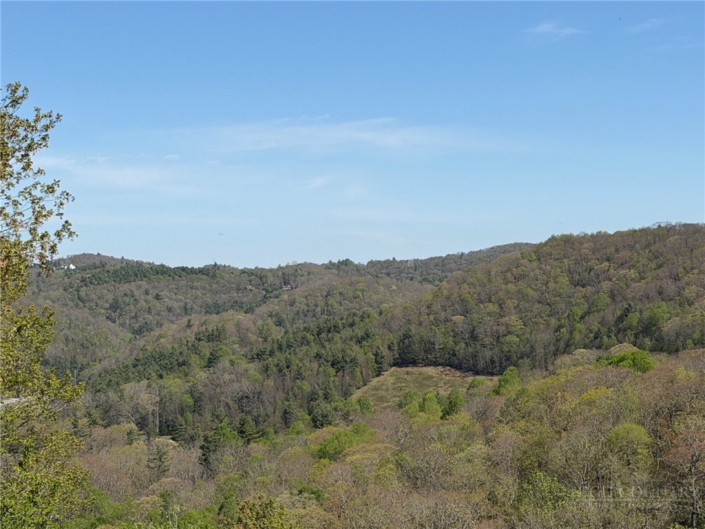 Ski Mountain Road Blowing Rock, NC 28605 - Photo 2 of 14 a view of a dry yard with mountains in the background