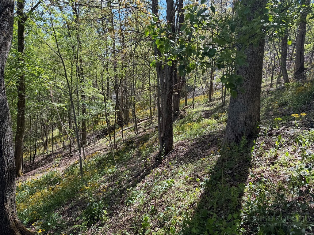 Ski Mountain Road Blowing Rock, NC 28605 - Photo 4 of 14