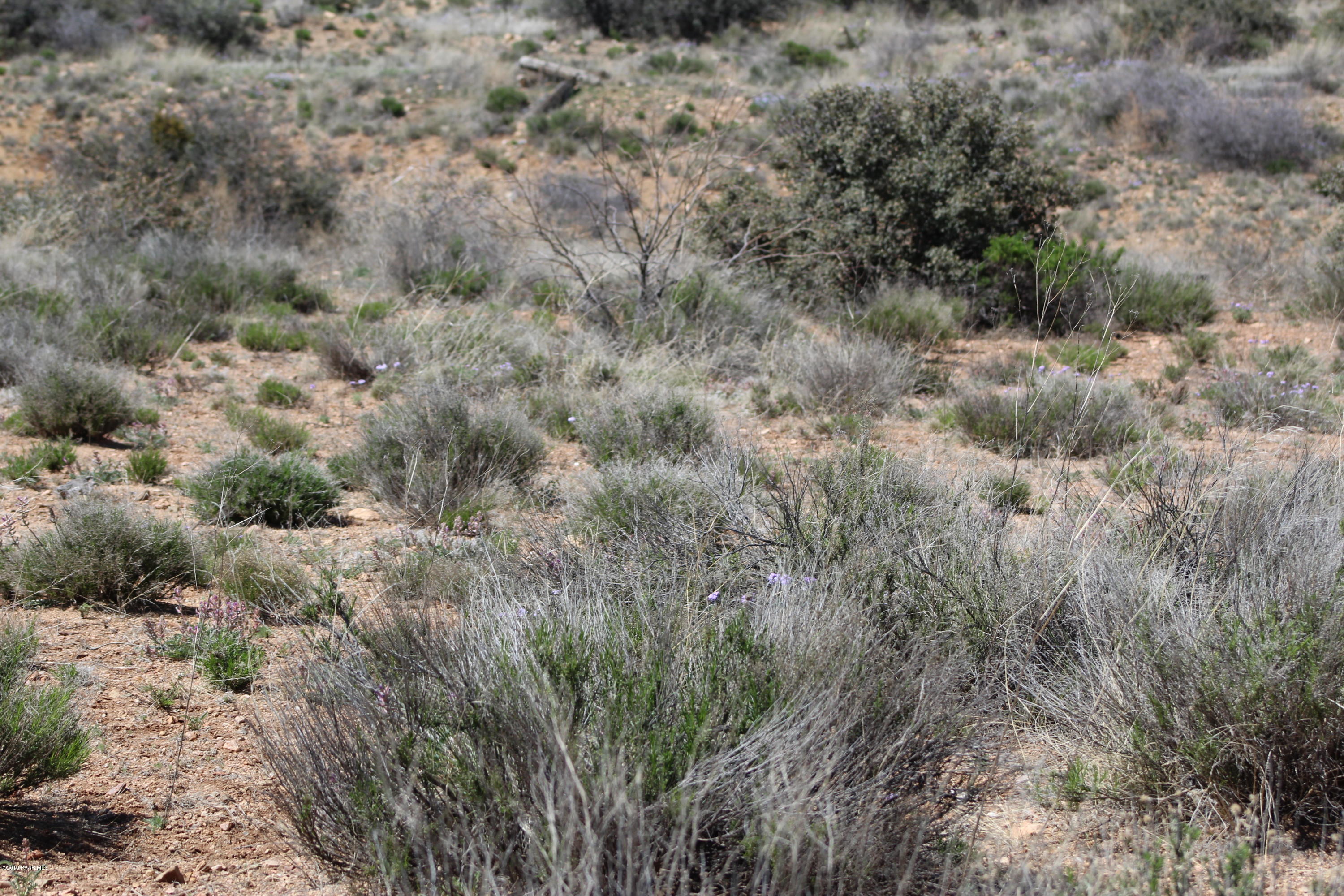 6850 Windmill Road Skull Valley, AZ 86338 - Photo 13 of 23 2019-04-08 14.10.00