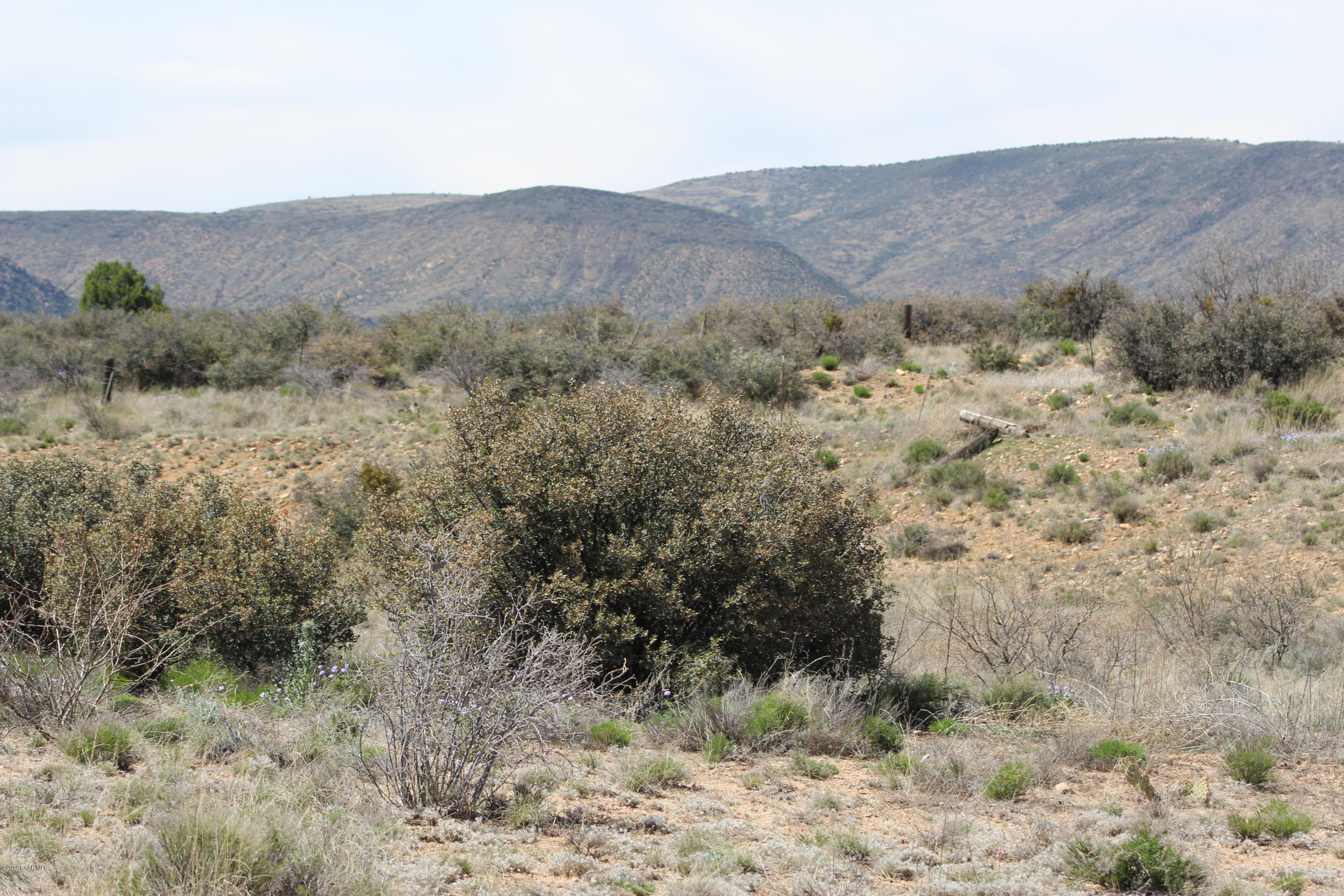 6850 Windmill Road Skull Valley, AZ 86338 - Photo 14 of 23 2019-04-08 14.11.16