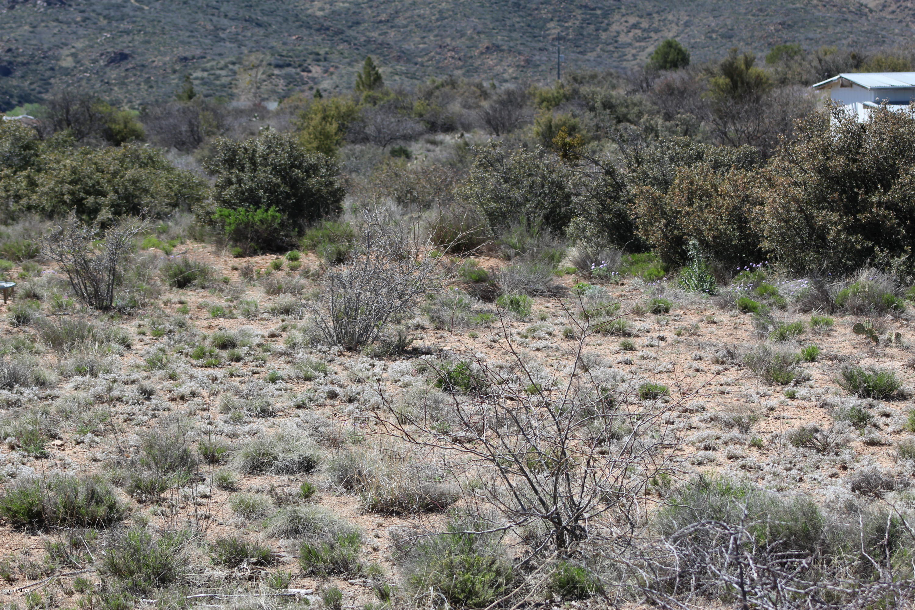 6850 Windmill Road Skull Valley, AZ 86338 - Photo 19 of 23 Flat land area