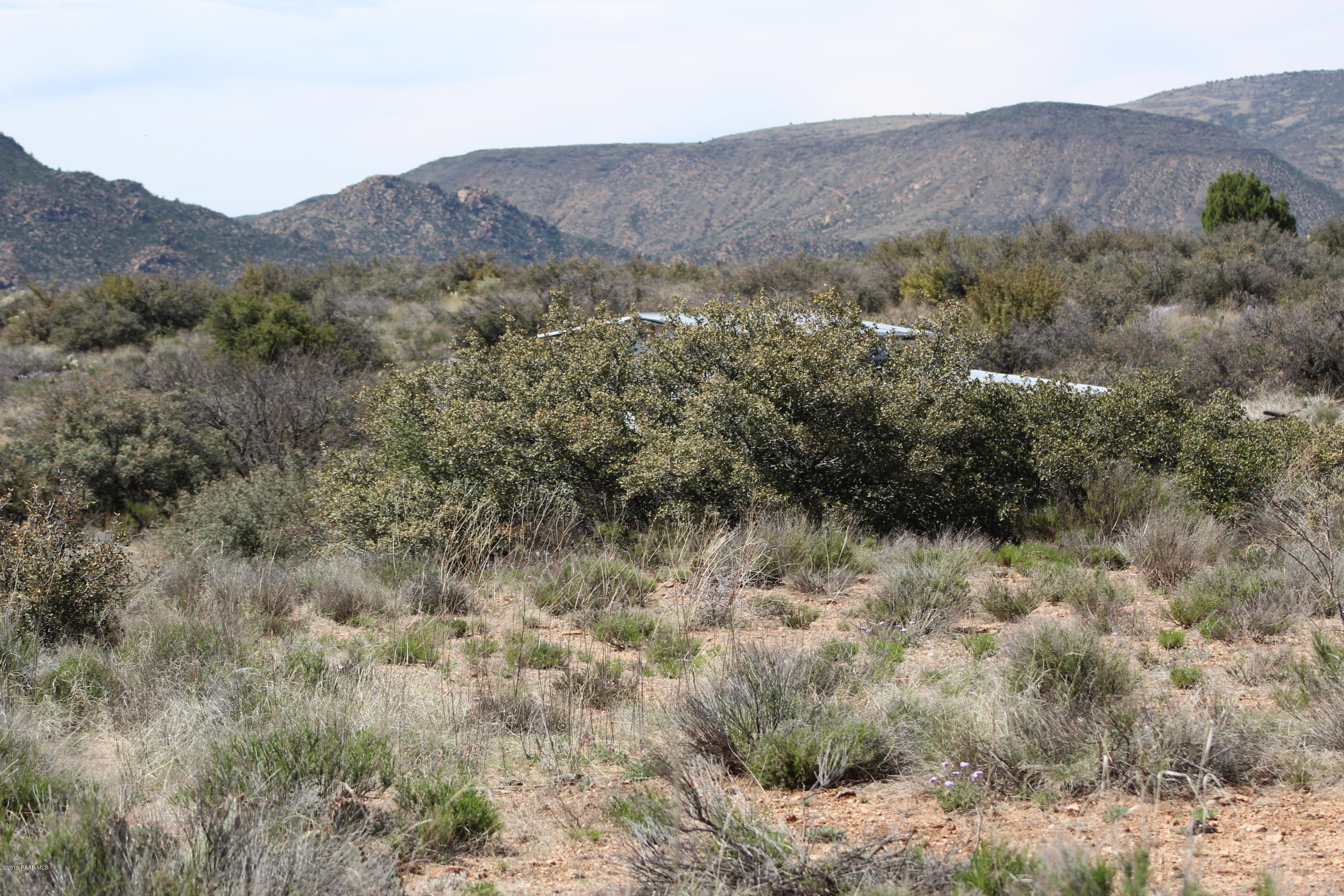 6850 Windmill Road Skull Valley, AZ 86338 - Photo 9 of 23 2019-04-08 14.09.05