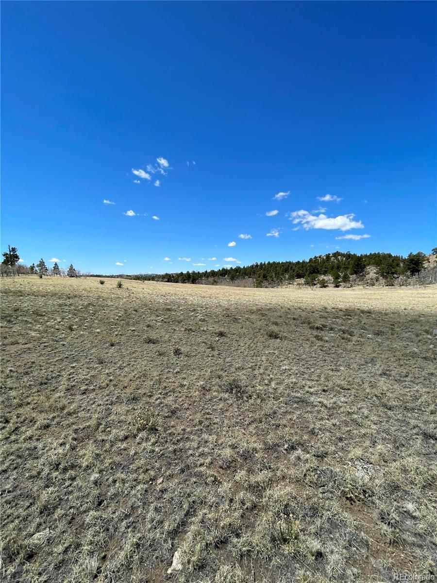 0 Kataka Road Hartsel, CO 80449 - Photo 3 of 7 Gallery Image 3