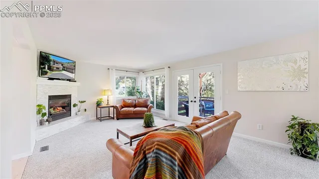 a living room with furniture fireplace and a potted plant