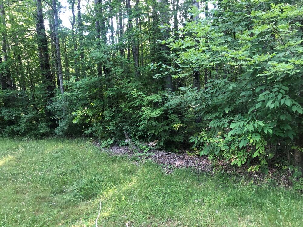 6172 Taft Road Mecosta, MI 49332 - Photo 3 of 20 3 Property View