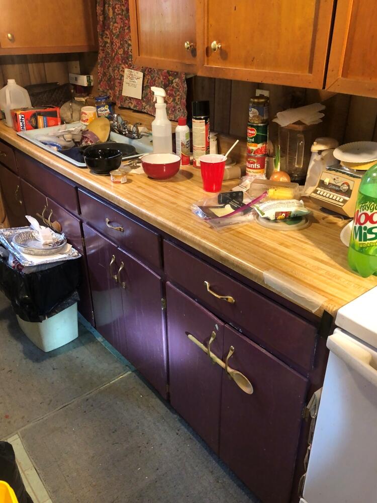 6172 Taft Road Mecosta, MI 49332 - Photo 9 of 20 9 Kitchen