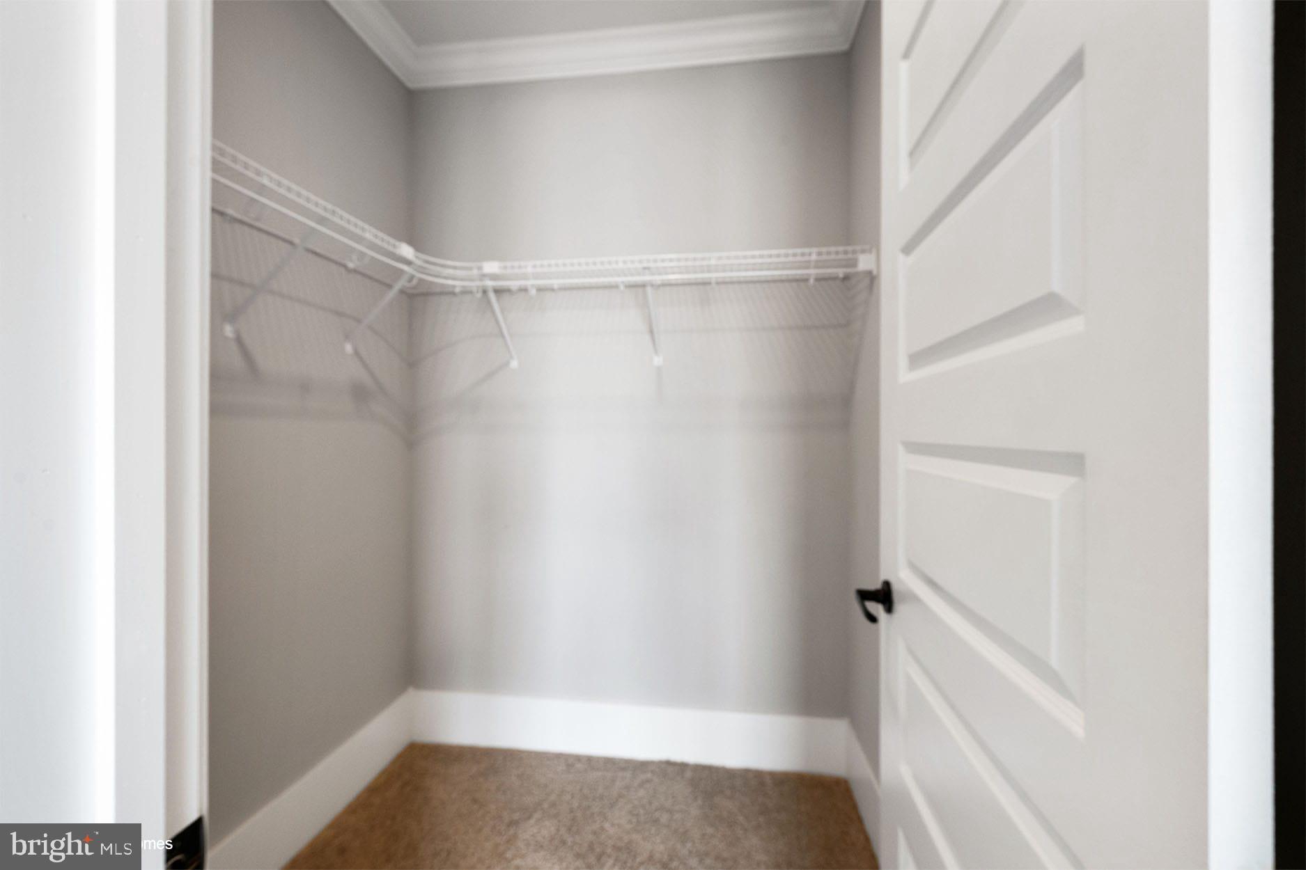 17810 Tyler Station Road Beaverdam, VA 23015 - Photo 7 of 11 a view of walk in closet with empty racks