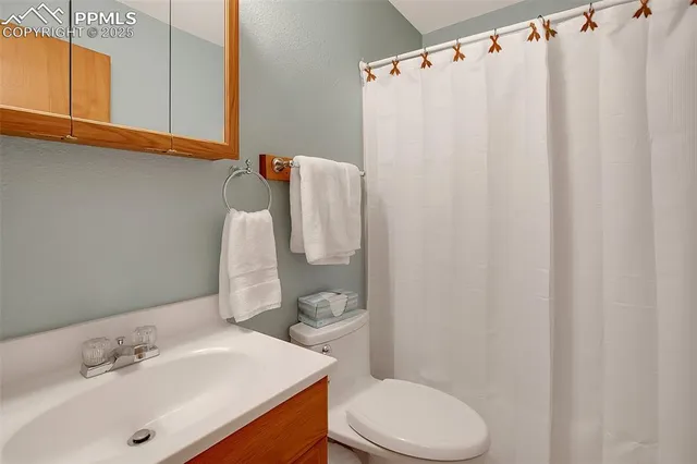 a bathroom with a sink a toilet and shower curtain