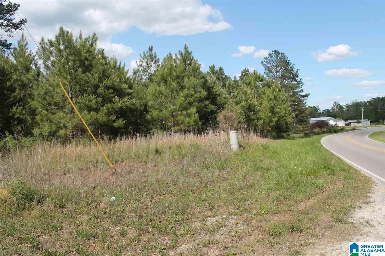 0 Highway 41 Addison Al, Unit 2 AC Addison, AL 35540 - Photo 1 of 5