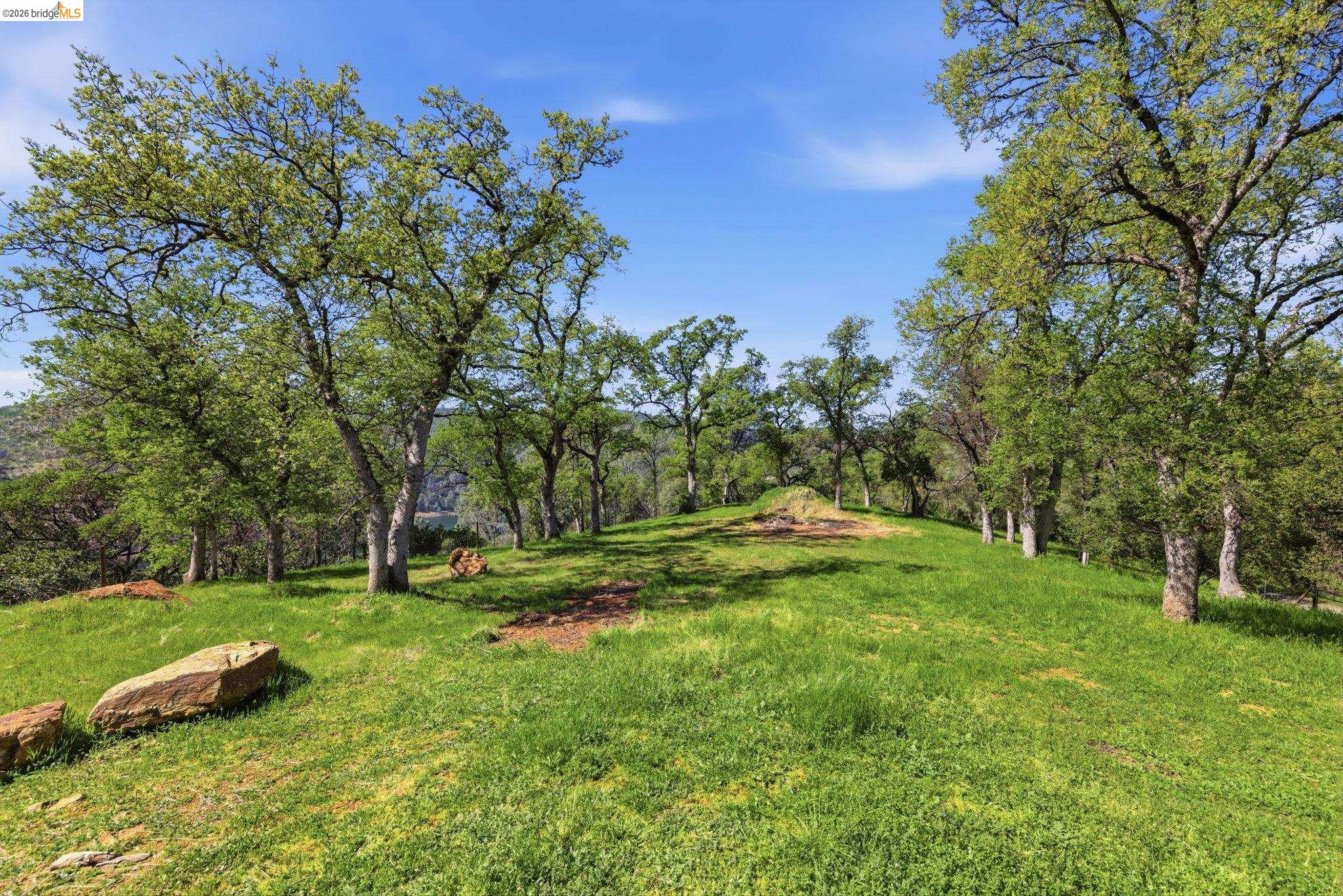 12808 Mammoth Mine Road Jamestown, CA 95327 - Photo 50 of 66 a view of a park with large trees