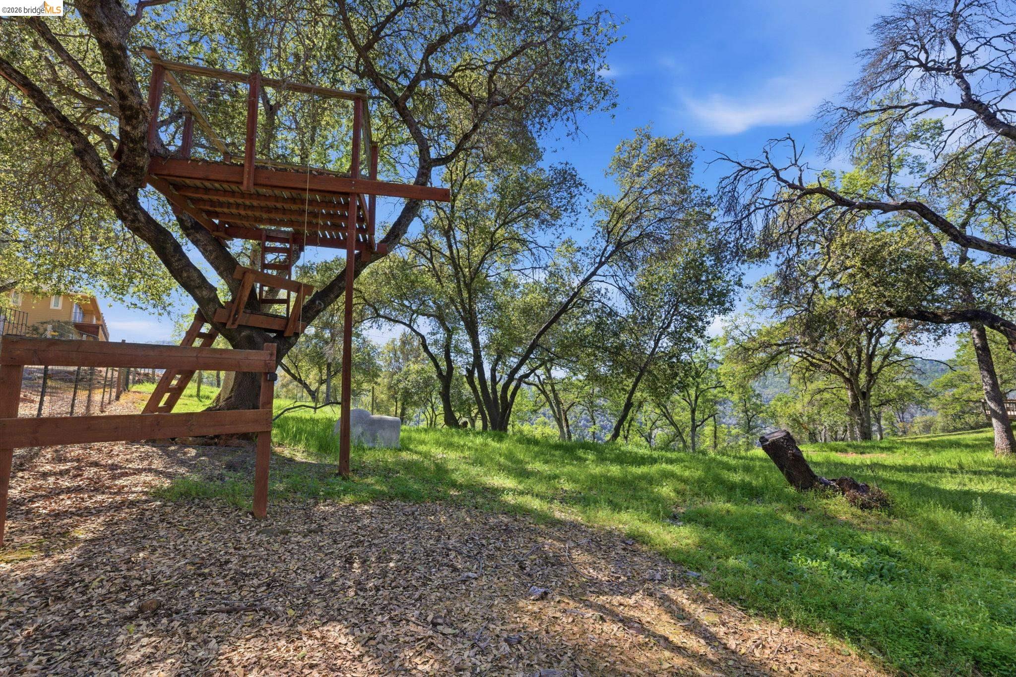 12808 Mammoth Mine Road Jamestown, CA 95327 - Photo 51 of 66 a view of a backyard
