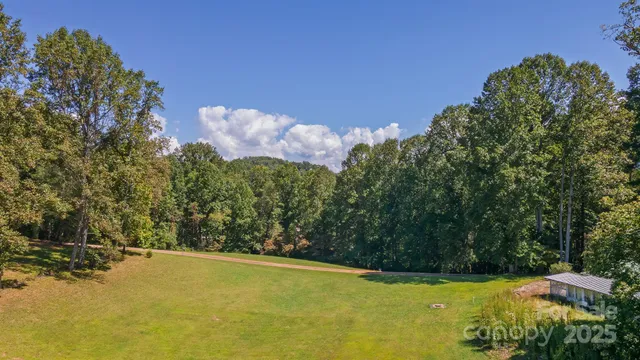 a view of a yard with an tree