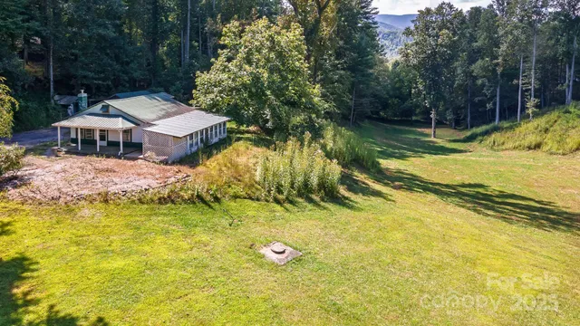 a view of a yard with a tree