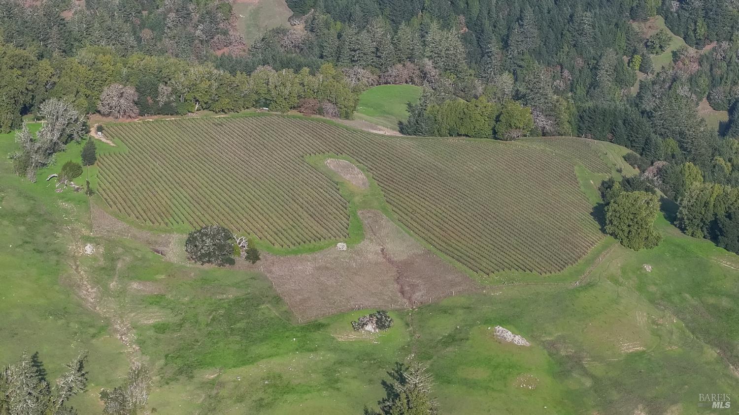 38555 Hauser Bridge Road Cazadero, CA 95421 - Photo 46 of 93