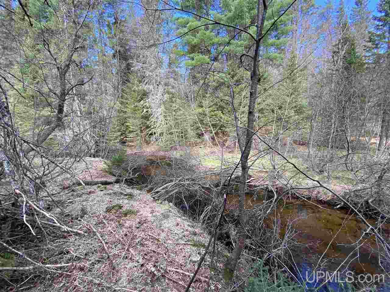 Tbd Tbd Co Road Negaunee, MI 49866 - Photo 18 of 40
