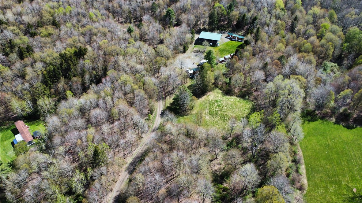 174 Peraglie Road Jefferson, NY 12093 - Photo 22 of 31