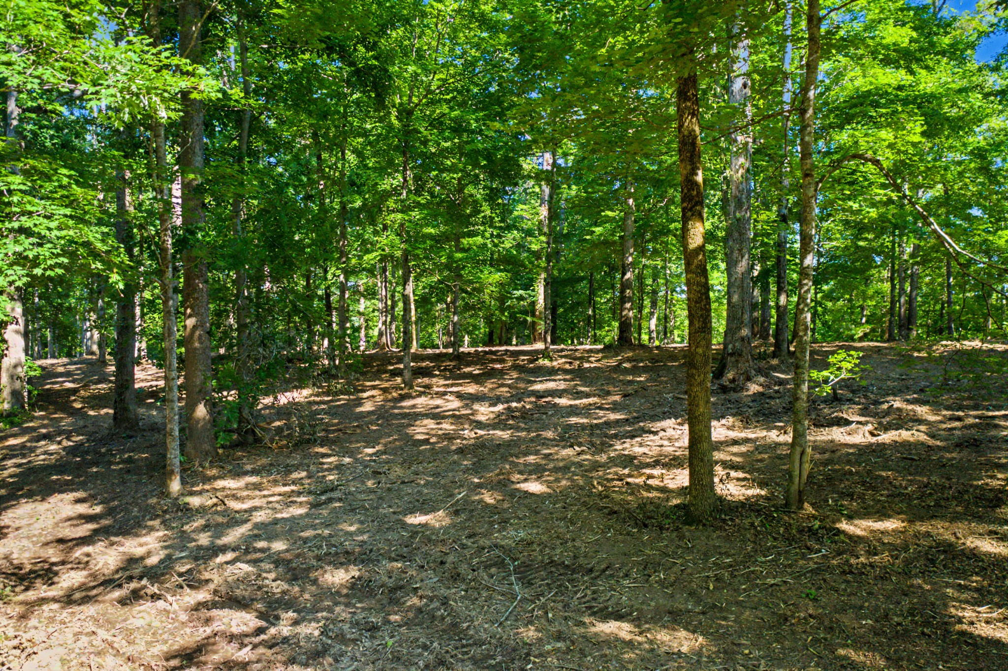 5185 Old Harding Road Fairview, TN 37062 - Photo 8 of 42