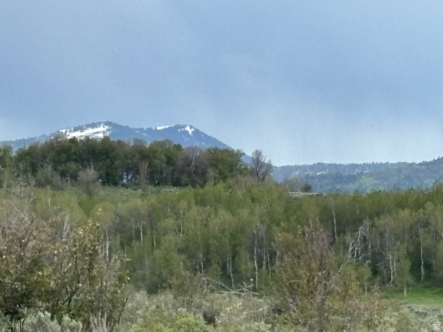 6476 Stauffer Road, Unit 4 Montpelier, ID 83254 - Photo 1 of 17 Expansive natural landscape featuring lush green foliage and mature deciduous trees