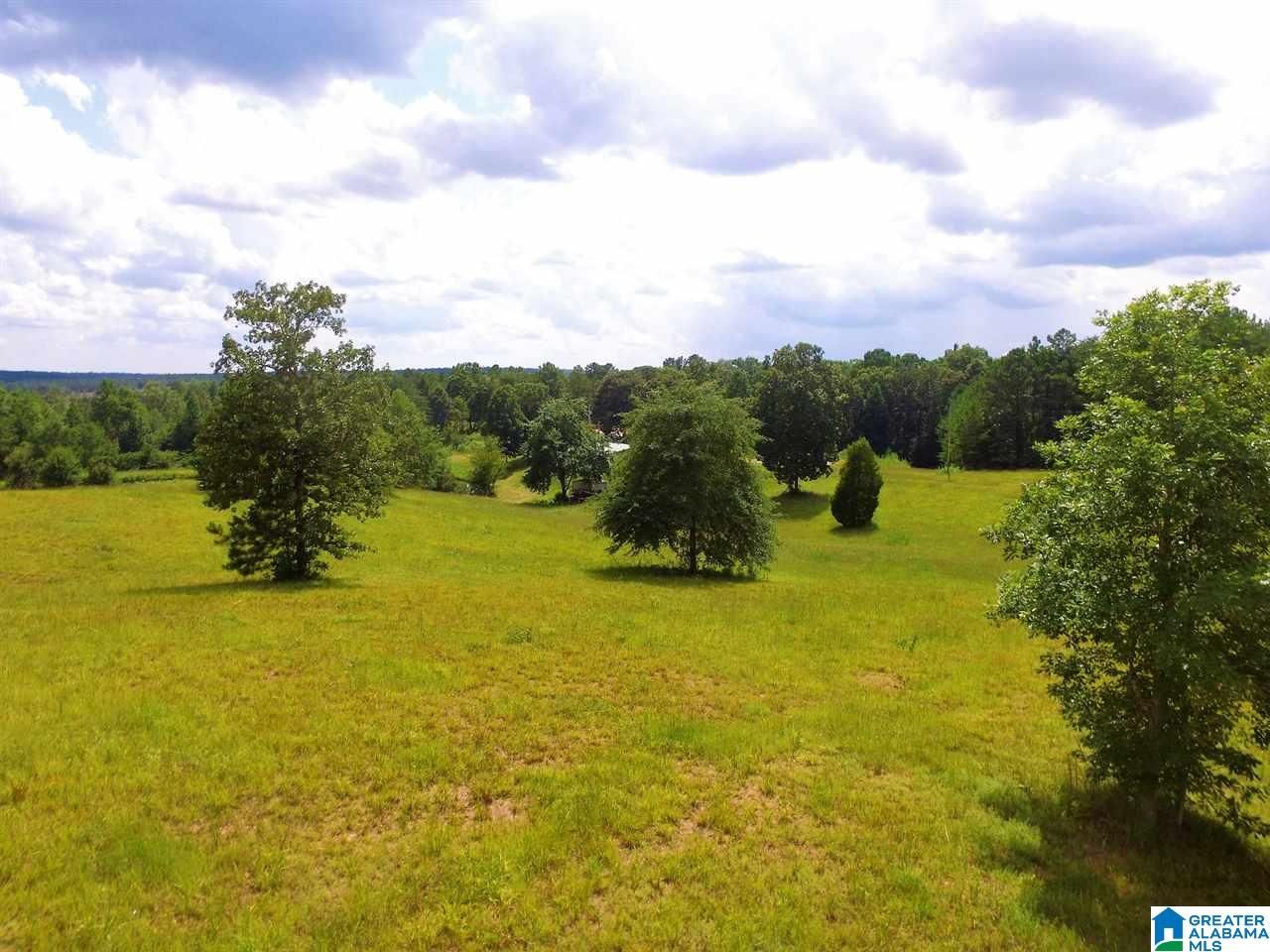 950 County Road 478, Unit 1 Clanton, AL 35046 - Photo 16 of 31