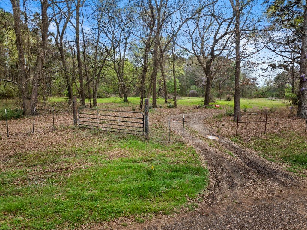 11 Rd Daingerfield Tx 75638 Road Daingerfield, TX 75638 - Photo 1 of 19 a view of park with tree