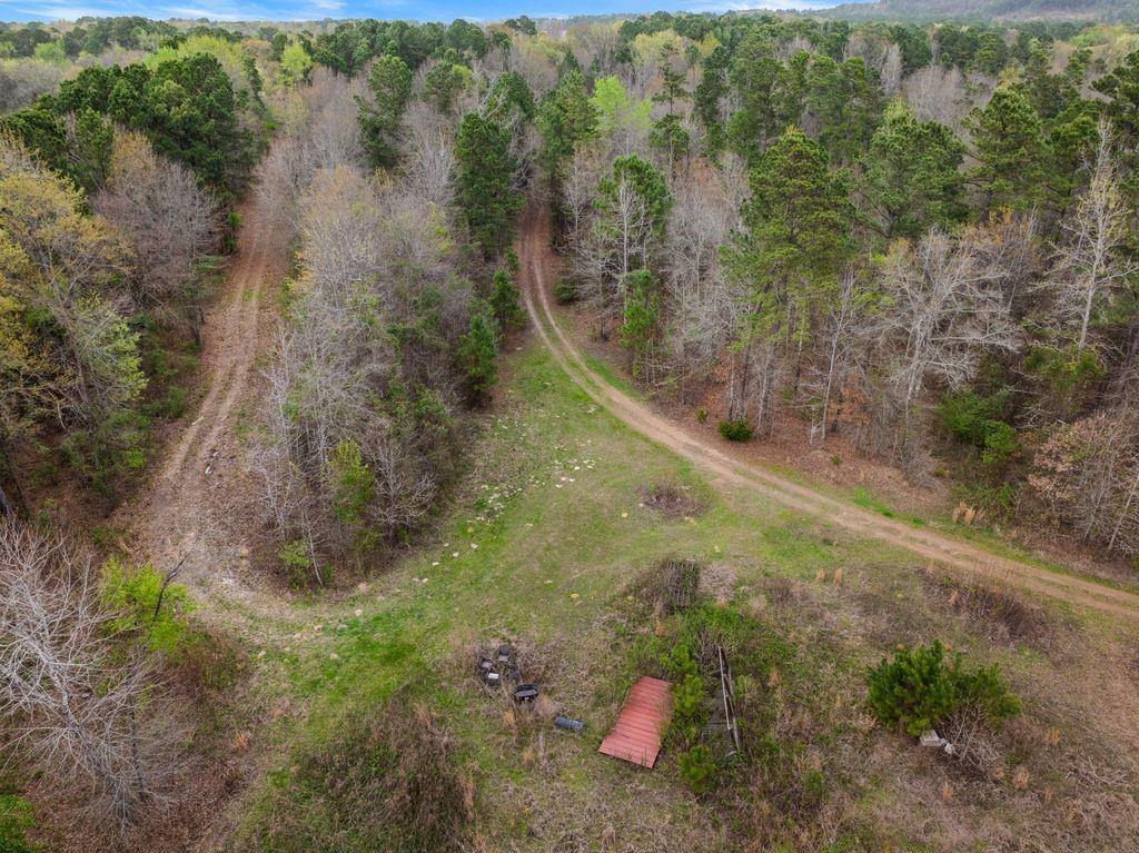 11 Rd Daingerfield Tx 75638 Road Daingerfield, TX 75638 - Photo 13 of 19 a view of a forest with a sink