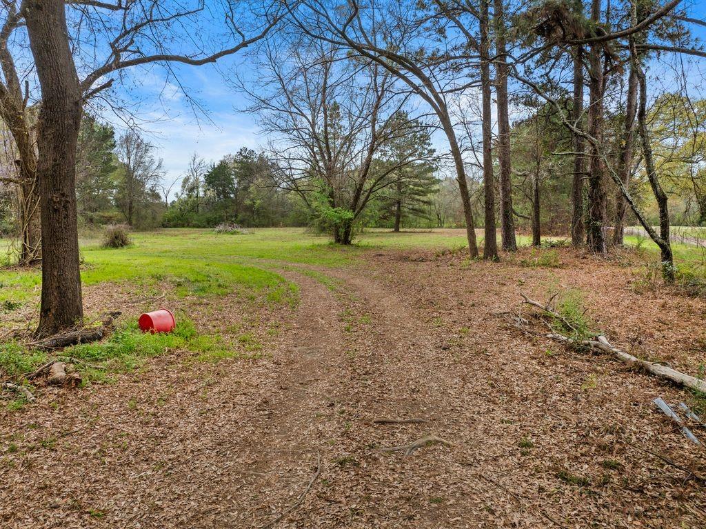 11 Rd Daingerfield Tx 75638 Road Daingerfield, TX 75638 - Photo 2 of 19 a view of a tree in front of a house