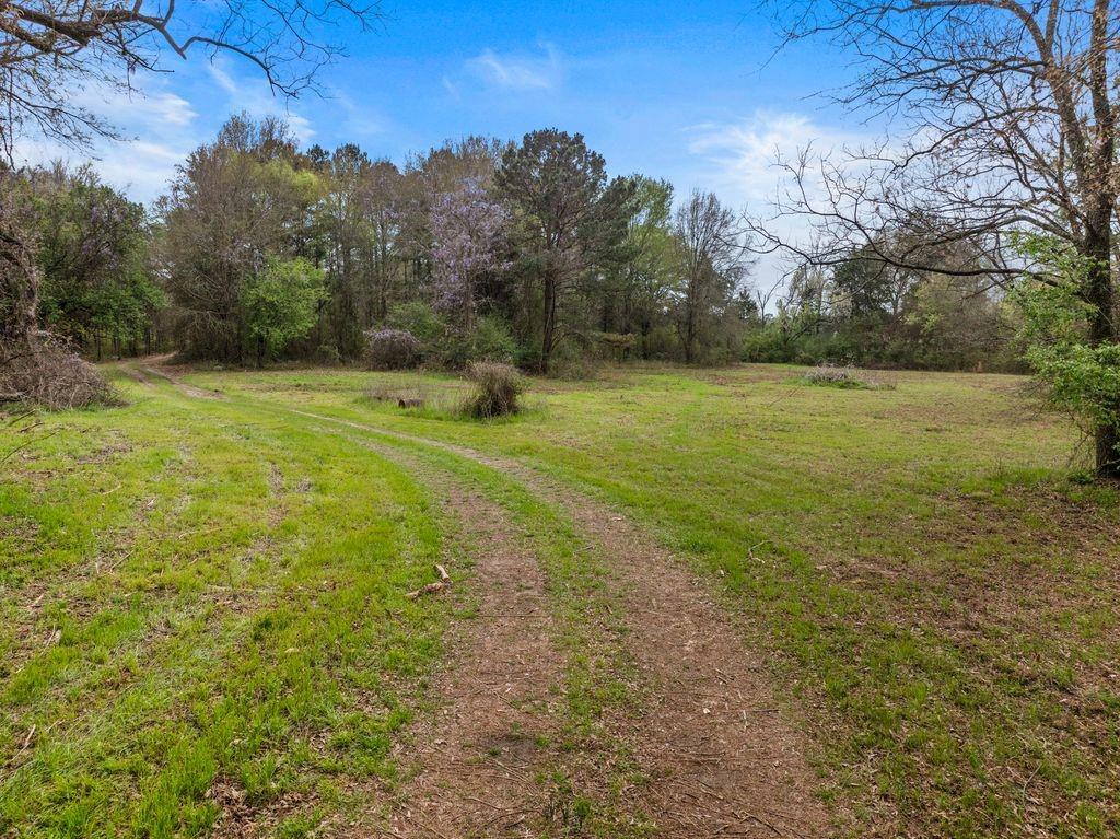 11 Rd Daingerfield Tx 75638 Road Daingerfield, TX 75638 - Photo 3 of 19 a view of a field with an trees