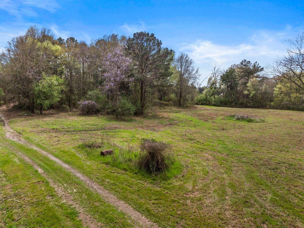 11 Rd Daingerfield Tx 75638 Road Daingerfield, TX 75638 - Photo 4 of 19 a view of a field with an trees in the background