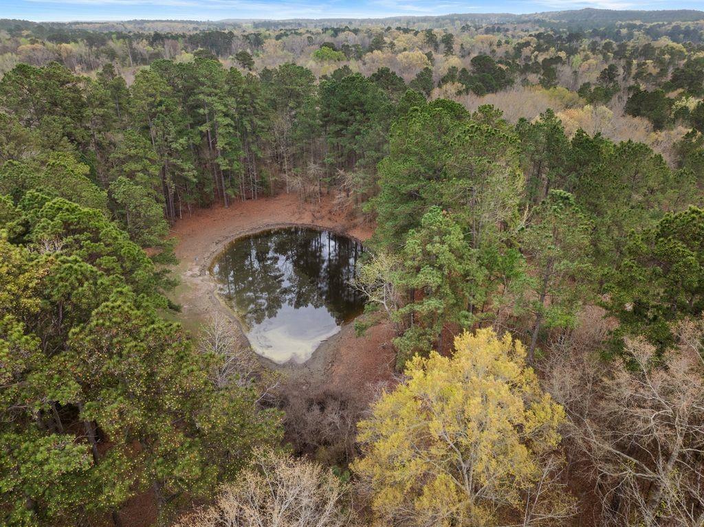 11 Rd Daingerfield Tx 75638 Road Daingerfield, TX 75638 - Photo 7 of 19 an aerial view of a house with a yard