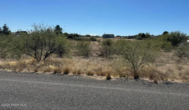 a view of a dry yard with trees
