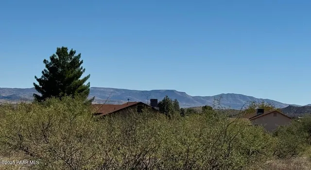 a view of a lush green field with a tree in the background